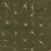 Kanoko Moss - Coordonné