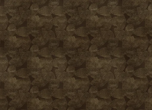 Lignite Gold - Coordonné