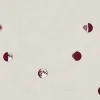 Lunatic Cherry - Coordonné