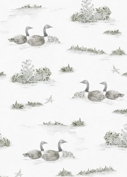 Mallard-Duck Silver - Coordonné