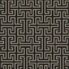Maze Mole - Coordonné