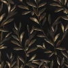 Olivetum Coal - Coordonné
