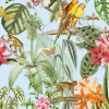 Parrots Cielo - Coordonné