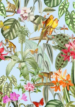 Parrots Cielo - Coordonné