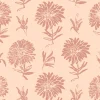 Parterre Rosa - Coordonné