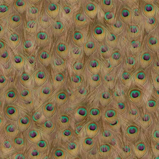 Peafowl Warm - Coordonné