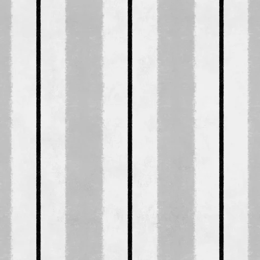 Race Grey - Coordonné
