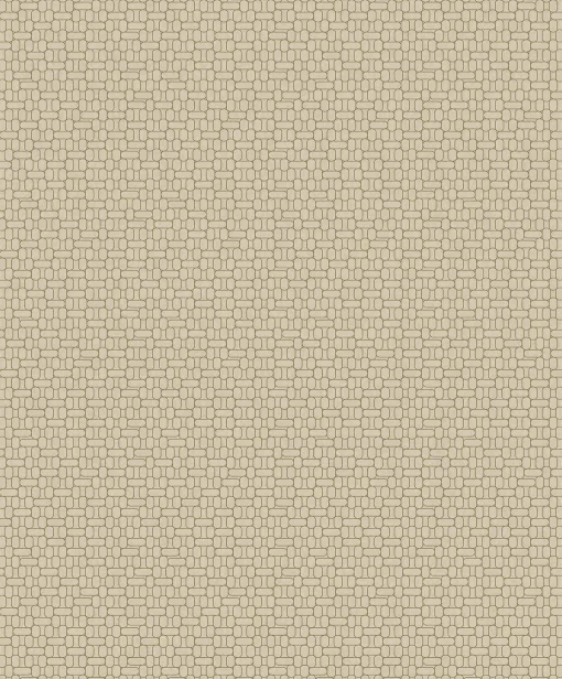 Rational Brass - Coordonné