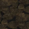 Rif Relief Night - Coordonné