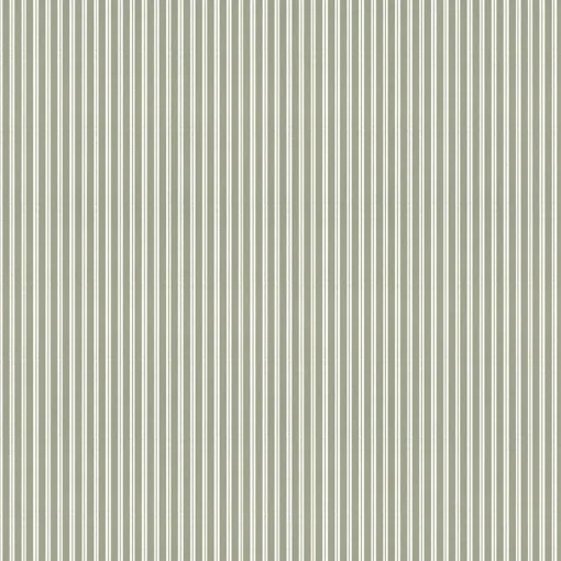 Stripe 0,7 Matcha - Coordonné