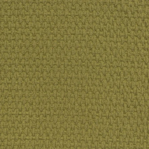 Wings 64 Olive - Coordonné