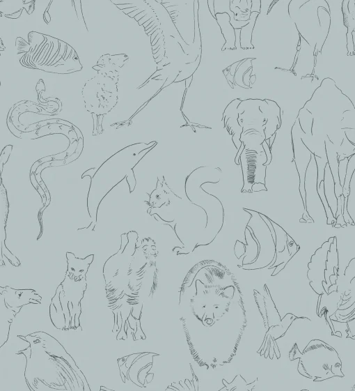 Zoology Aqua - Coordonné
