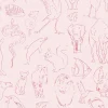 Zoology Candy - Coordonné