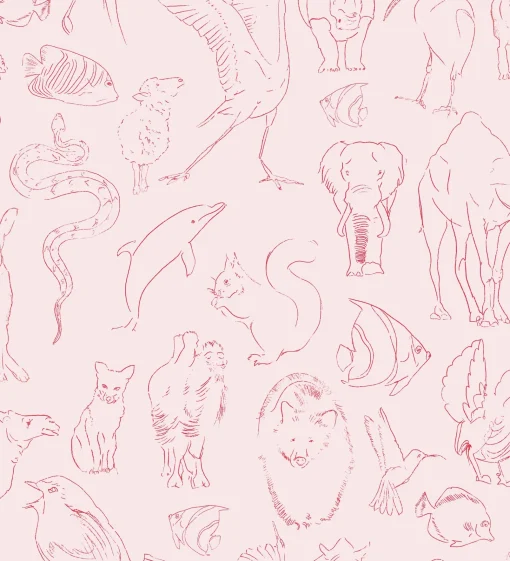 Zoology Candy - Coordonné