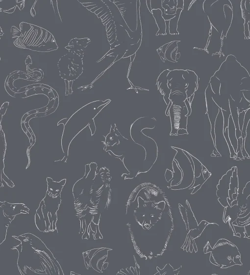 Zoology Chalk - Coordonné