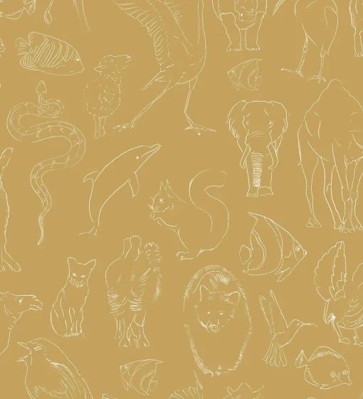 Zoology Curry - Coordonné