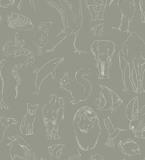 Zoology Stone - Coordonné
